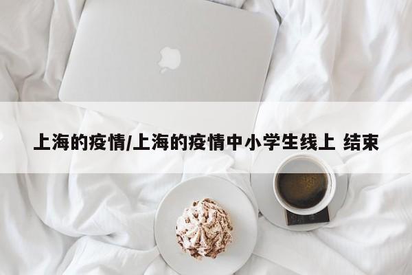 上海的疫情/上海的疫情中小学生线上 结束