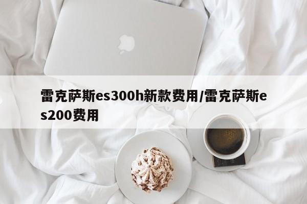雷克萨斯es300h新款费用/雷克萨斯es200费用